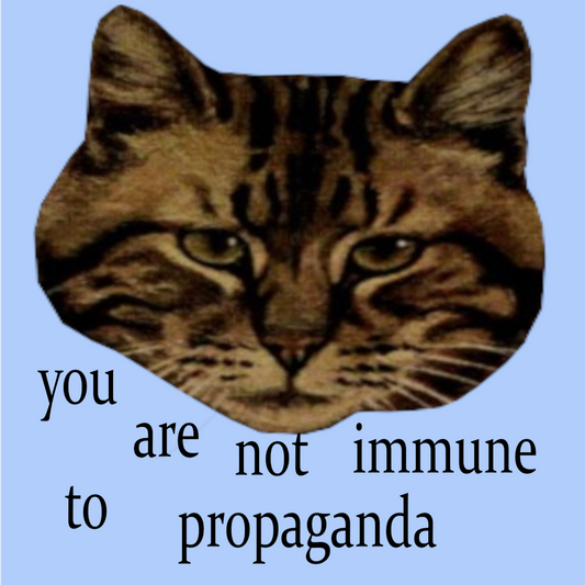 YOU ARE NOT IMMUNE TO PROPAGANDA
