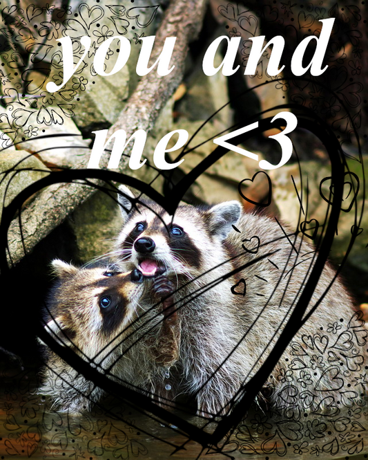 You & Me Raccoons