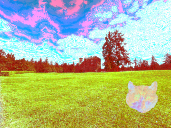 AMBIENTLOSER