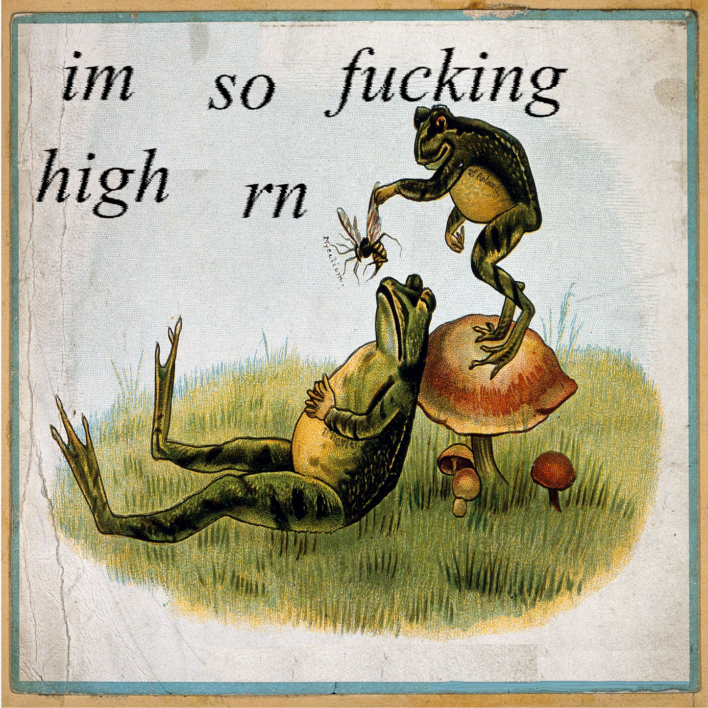 I'm So Fucking High RN